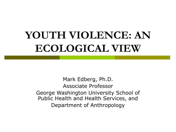 youth violence an ecological view