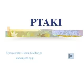 ptaki