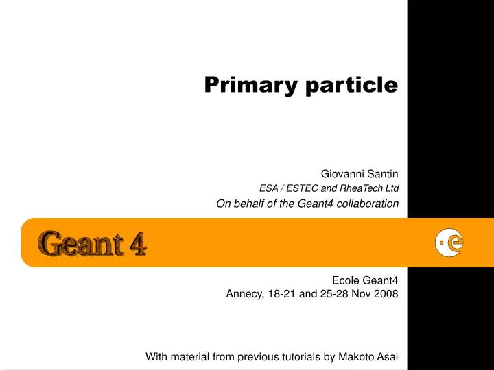 primary particle