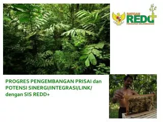 progres pengembangan prisai dan potensi sinergi integrasi link dengan sis redd