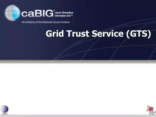 Grid Trust Service (GTS)