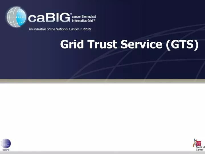 grid trust service gts