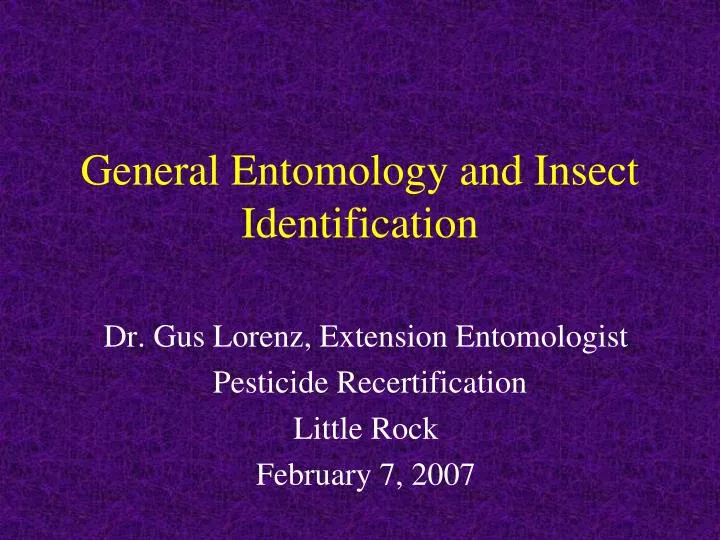 general entomology and insect identification