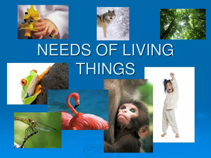 needs of living things