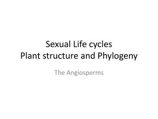 Sexual Life cycles Plant structure and Phylogeny