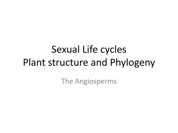 sexual life cycles plant structure and phylogeny