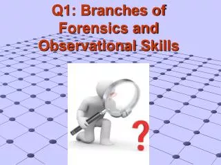 Q1: Branches of Forensics and Observational Skills
