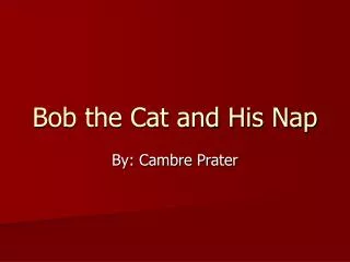 Bob the Cat and His Nap