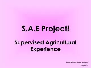 S.A.E Project!