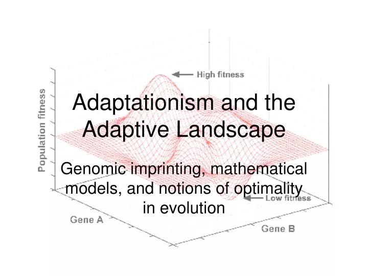 adaptationism and the adaptive landscape