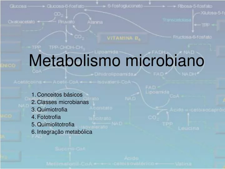 metabolismo microbiano