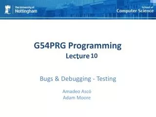 Bugs &amp; Debugging - Testing