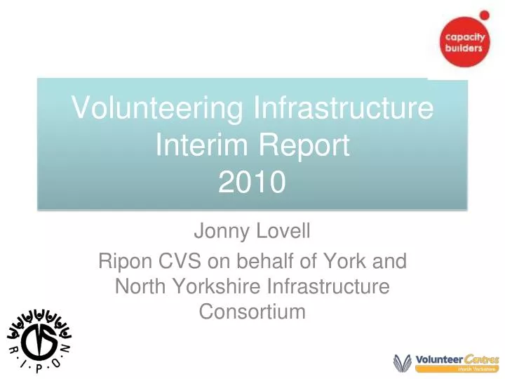volunteering infrastructure interim report 2010