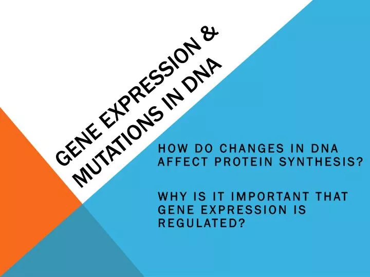 gene expression mutations in dna