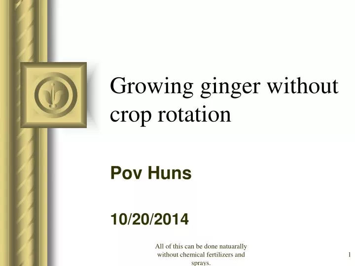 growing ginger without crop rotation