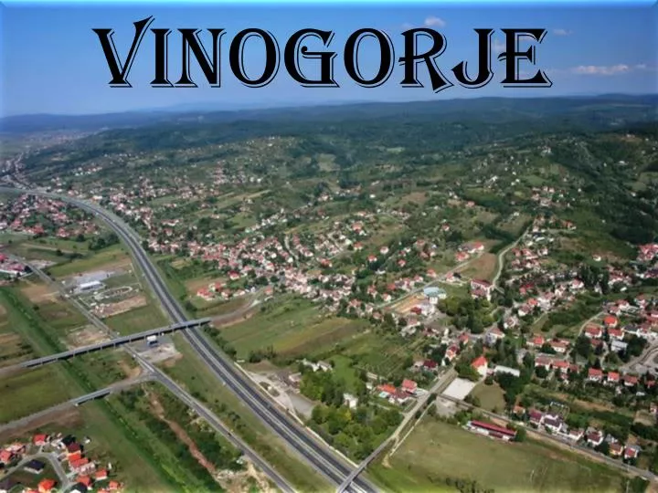 vinogorje