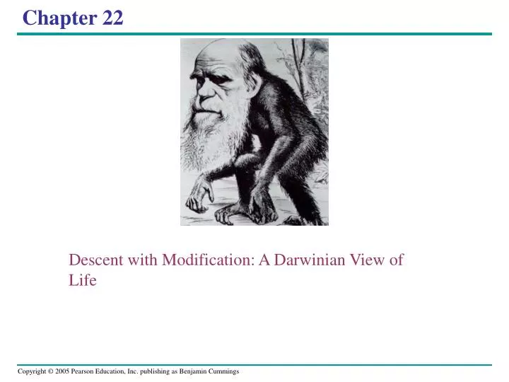 descent with modification a darwinian view of life