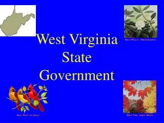 West Virginia State Government