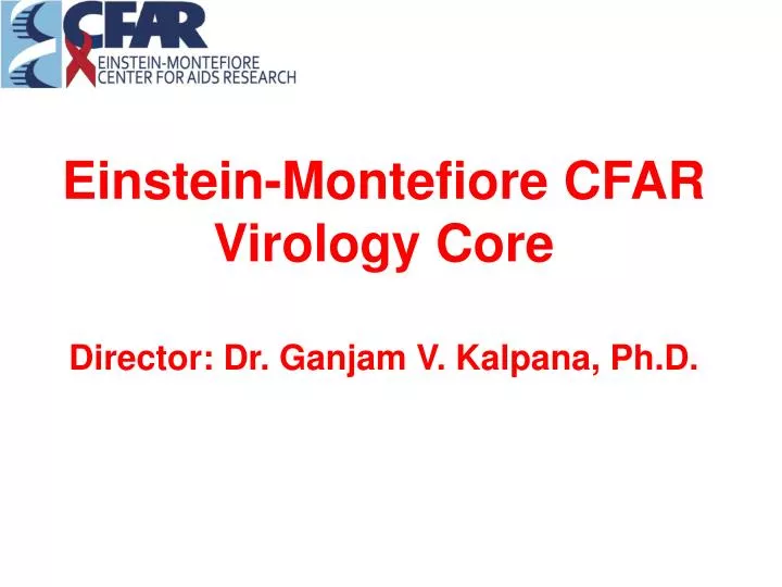 einstein montefiore cfar virology core director dr ganjam v kalpana ph d