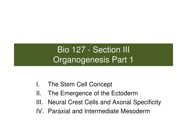 bio 127 section iii organogenesis part 1