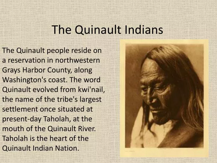 the quinault indians