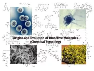 Origins and Evolution of Bioactive Molecules (Chemical Signalling )