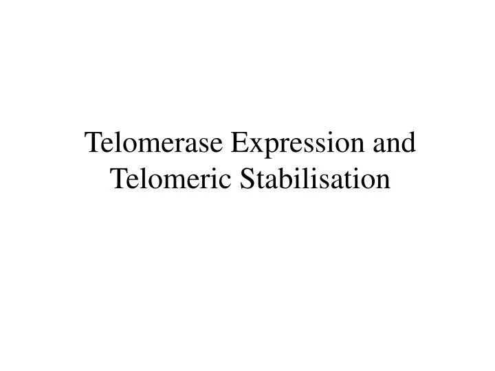 telomerase expression and telomeric stabilisation