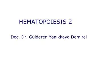 HEMATOPOIESIS 2