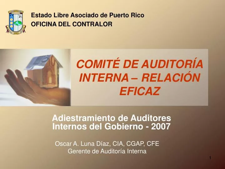adiestramiento de auditores internos del gobierno 2007