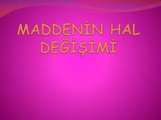 madden n hal de m