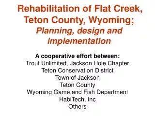 Rehabilitation of Flat Creek, Teton County, Wyoming; Planning, design and implementation