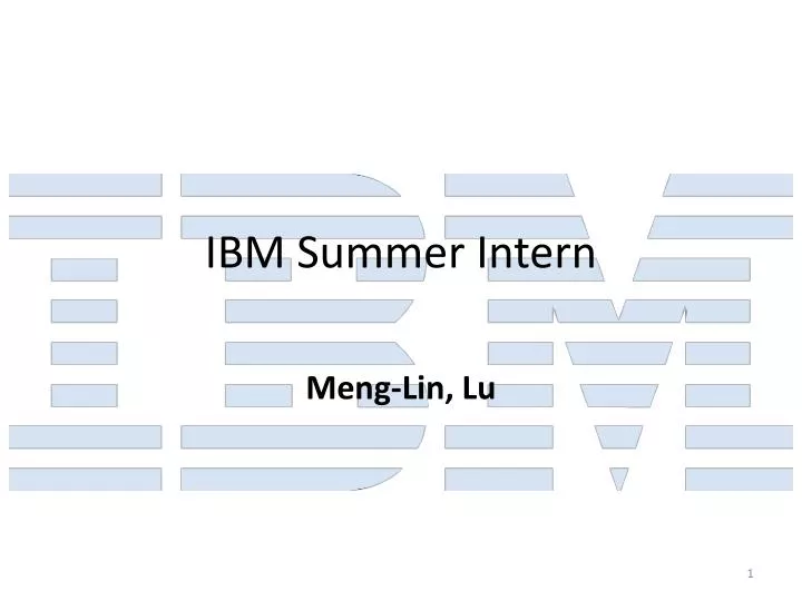 ibm summer intern