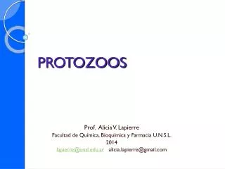 protozoos