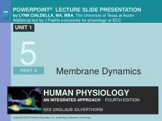 Membrane Dynamics