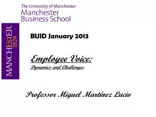 BUID January 2013 Employee Voice: Dynamics and Challenges