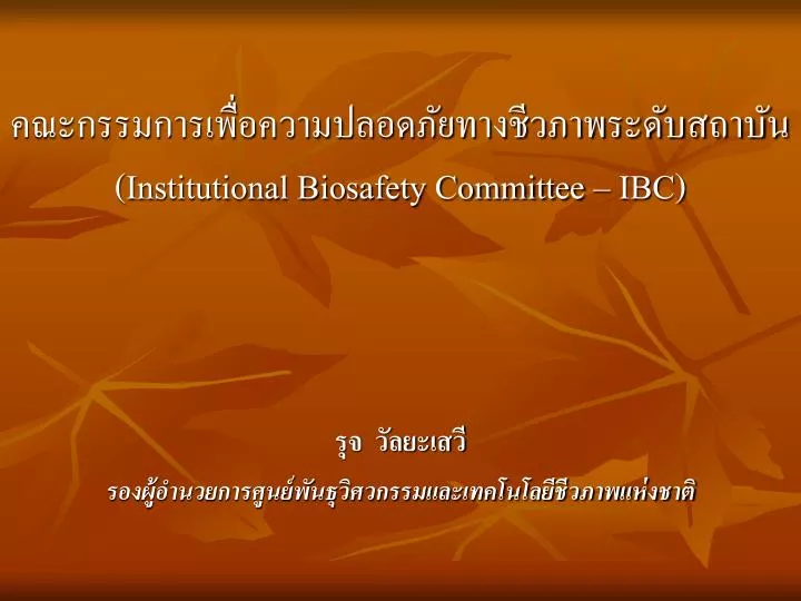 institutional biosafety committee ibc