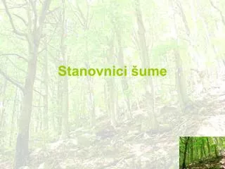 stanovnici ume