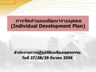 individual development plan