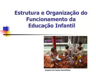 Estrutura e Organização do Funcionamento da Educação Infantil