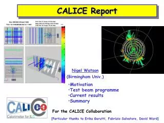 CALICE Report