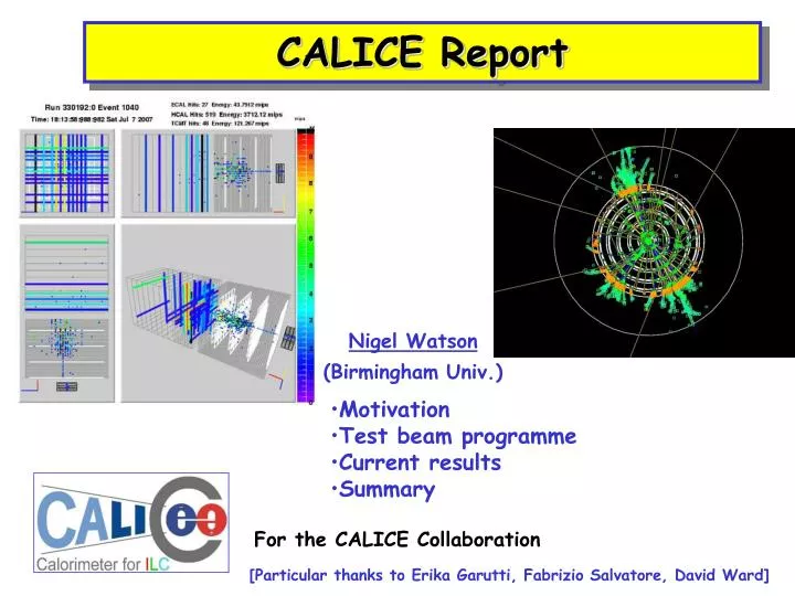 calice report