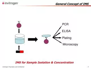 General Concept of IMS