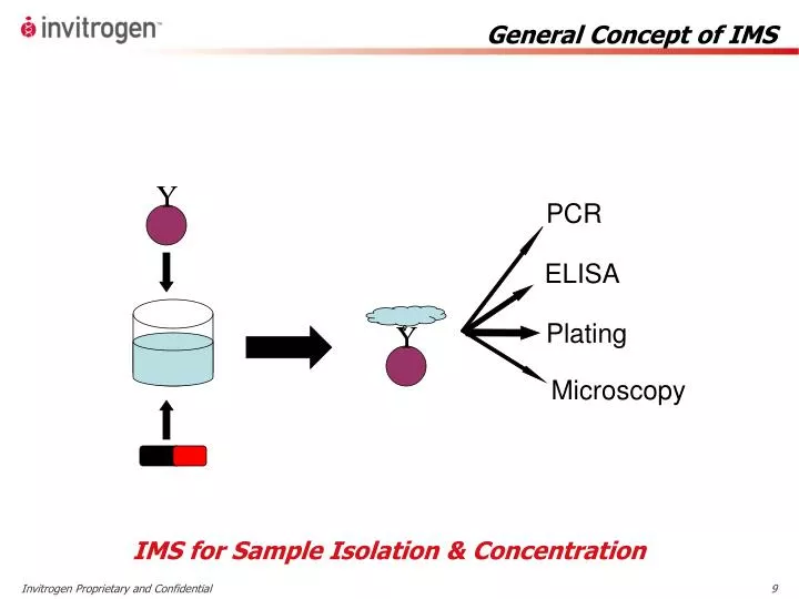 general concept of ims