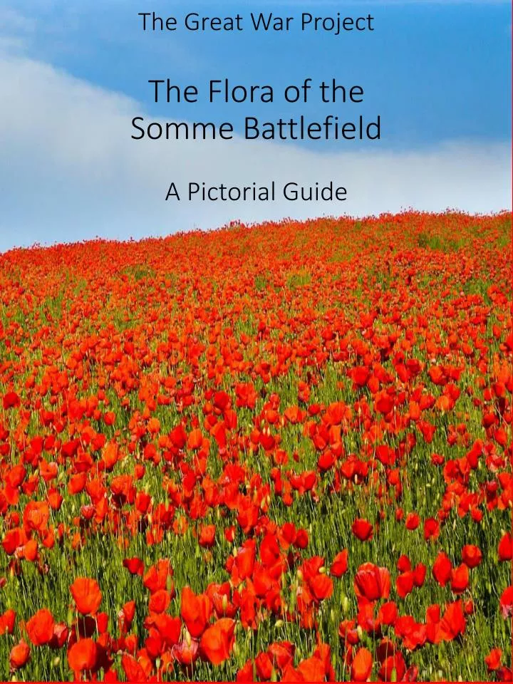 the great war project the flora of the somme battlefield a pictorial guide