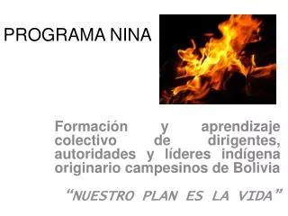 programa nina