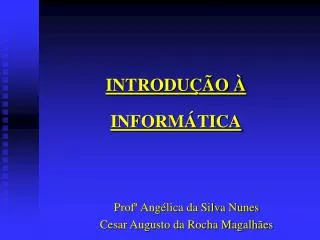 introdu o inform tica