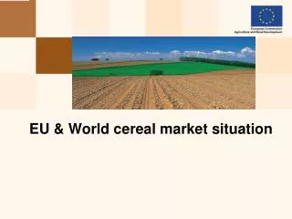 EU &amp; World cereal market situation