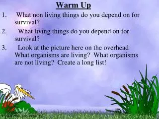 Warm Up What non living things do you depend on for survival?