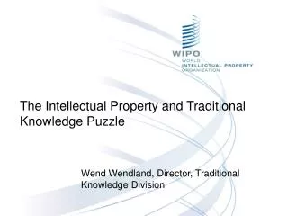 The Intellectual Property and Traditional Knowledge Puzzle