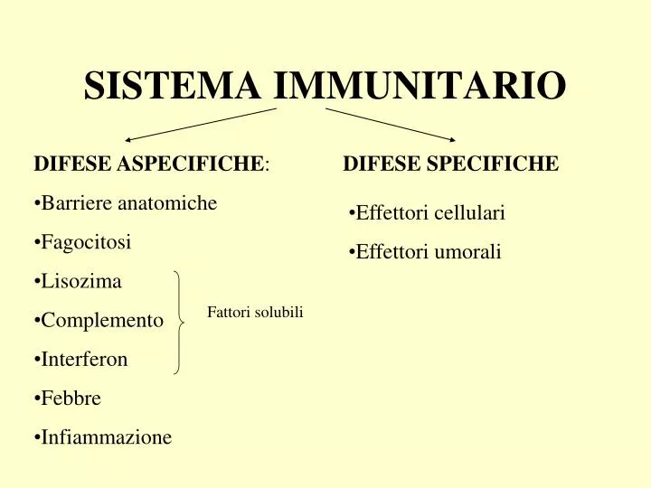 sistema immunitario